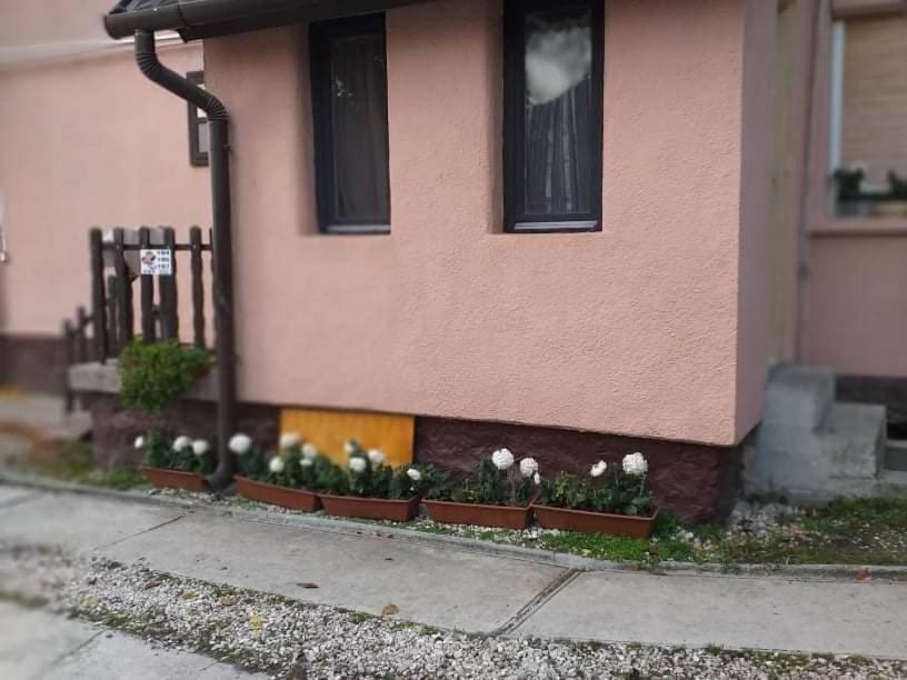 Maison d'hôtes Pihenes A Malomtonal Privat Berlemeny à Tapolca Extérieur photo